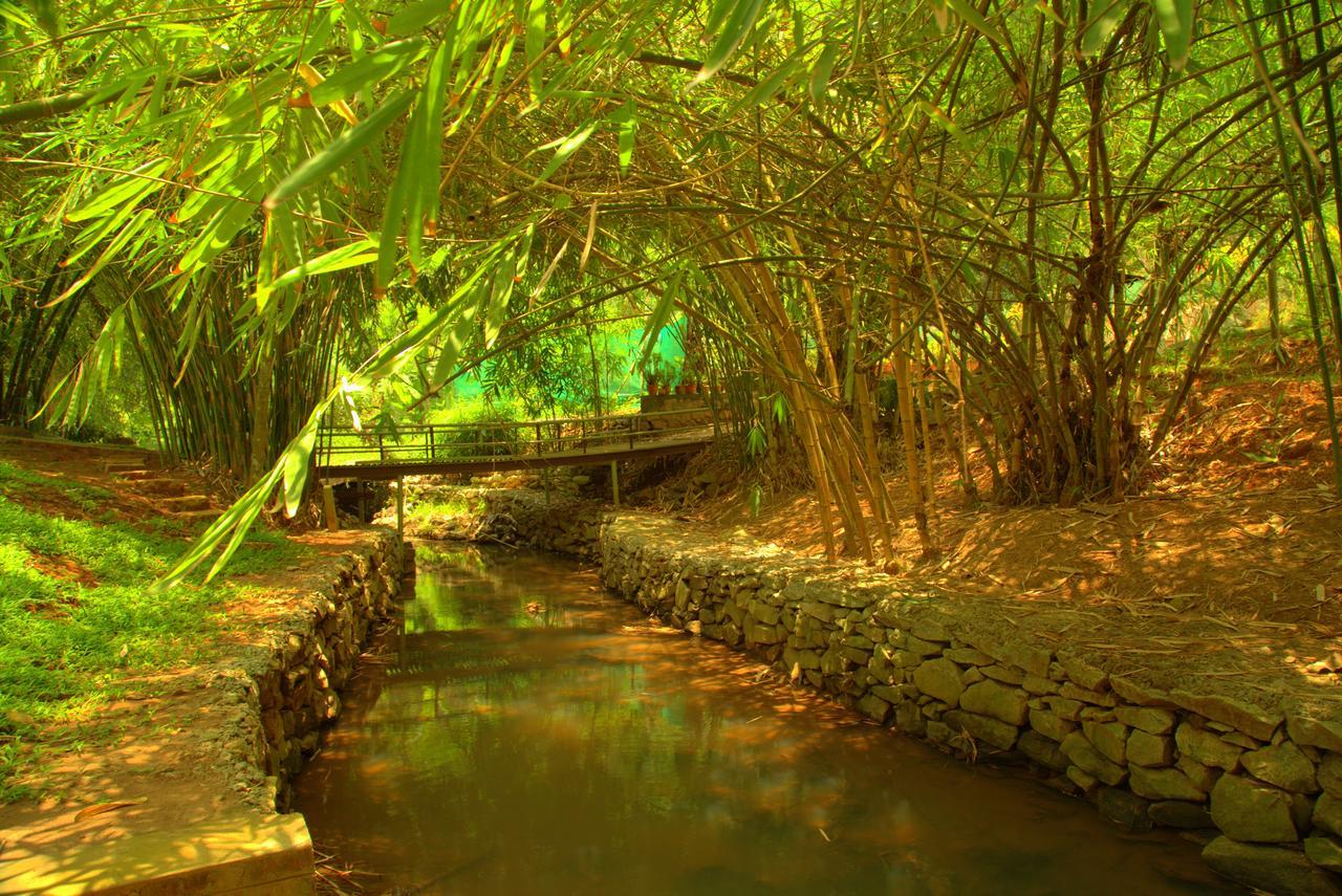 Bamboo Creek Resort Vaduvanchal Exterior foto